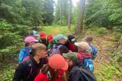 IMG-20240702-WA0012