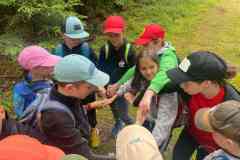 IMG-20240702-WA0013