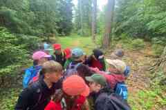 IMG-20240702-WA0014