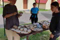 IMG-20240702-WA0043