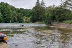 IMG-20240703-WA0047