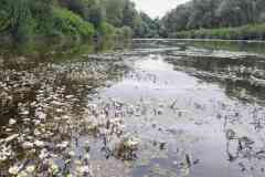 IMG-20240703-WA0063