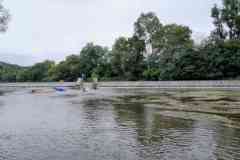 IMG-20240703-WA0077
