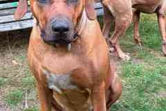 IMG-20260911-WA0007