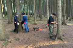 IMG-20260911-WA0012