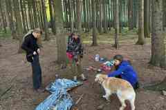 IMG-20260911-WA0015