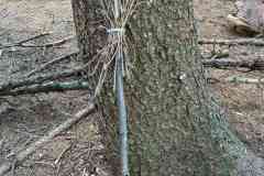 IMG-20260912-WA0010