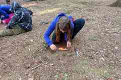 IMG-20260912-WA0034
