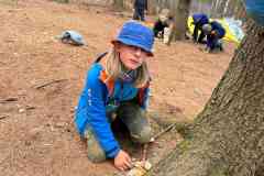 IMG-20260912-WA0037