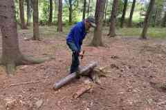 IMG-20260912-WA0042