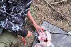 IMG-20260912-WA0049