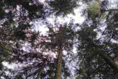 IMG-20260912-WA0052