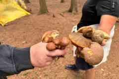 IMG-20260912-WA0057