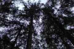 IMG-20260913-WA0000