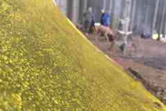 IMG-20260913-WA0004