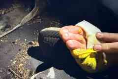 IMG-20260913-WA0032