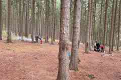 IMG-20260913-WA0046