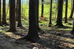 IMG-20260424-WA0009