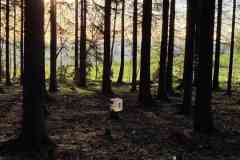 IMG-20260424-WA0022
