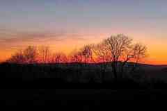 IMG-20260424-WA0029