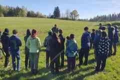 IMG-20260425-WA0003