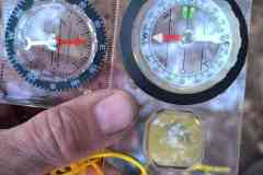 IMG-20260425-WA0031