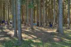 IMG-20260426-WA0000