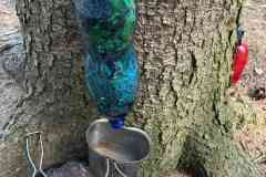 IMG-20260426-WA0008