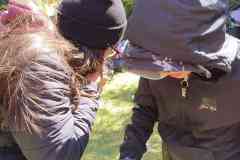 IMG-20260426-WA0031