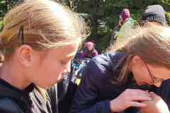 IMG-20260426-WA0033