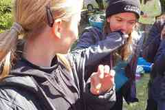 IMG-20260426-WA0035