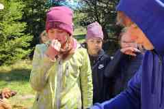 IMG-20260426-WA0038
