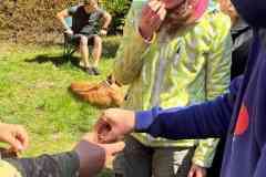 IMG-20260426-WA0044