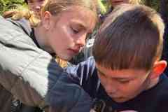 IMG-20260426-WA0050