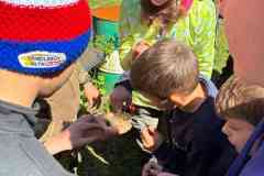 IMG-20260426-WA0054