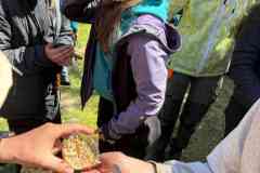 IMG-20260426-WA0057