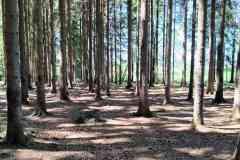 IMG-20260426-WA0062
