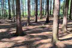 IMG-20260426-WA0063