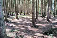 IMG-20260426-WA0064