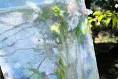 IMG-20260426-WA0065