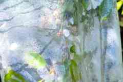 IMG-20260426-WA0066