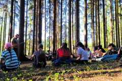 IMG-20260529-WA0012