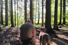 IMG-20260529-WA0014