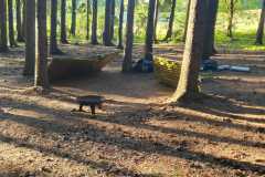 IMG-20260529-WA0016