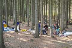 IMG-20260531-WA0020
