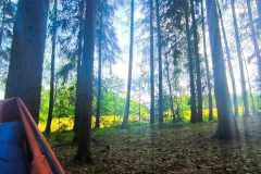 IMG-20260531-WA0029