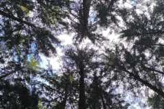 IMG-20260531-WA0030