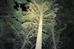 IMG-20260531-WA0031
