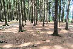 IMG-20260531-WA0034