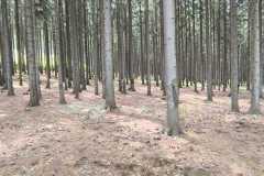 IMG-20260531-WA0035